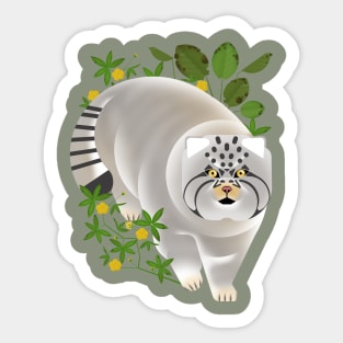 Otocolobus manul - Pallas's cat Sticker